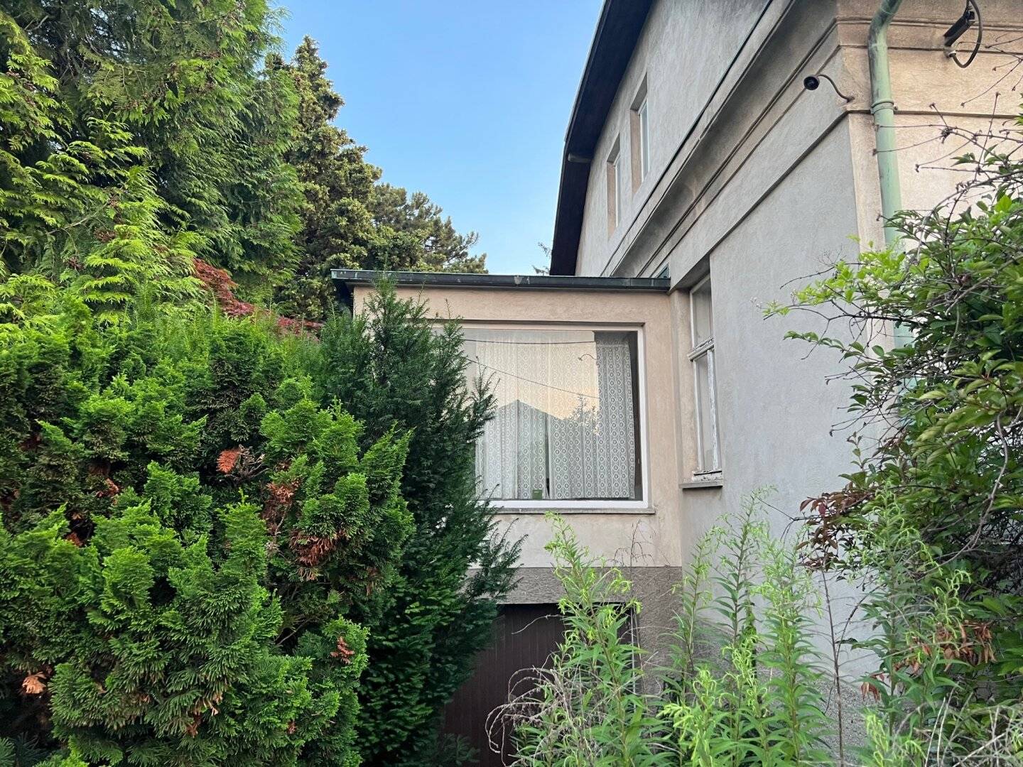 Demolition New Build Green Quiet Location