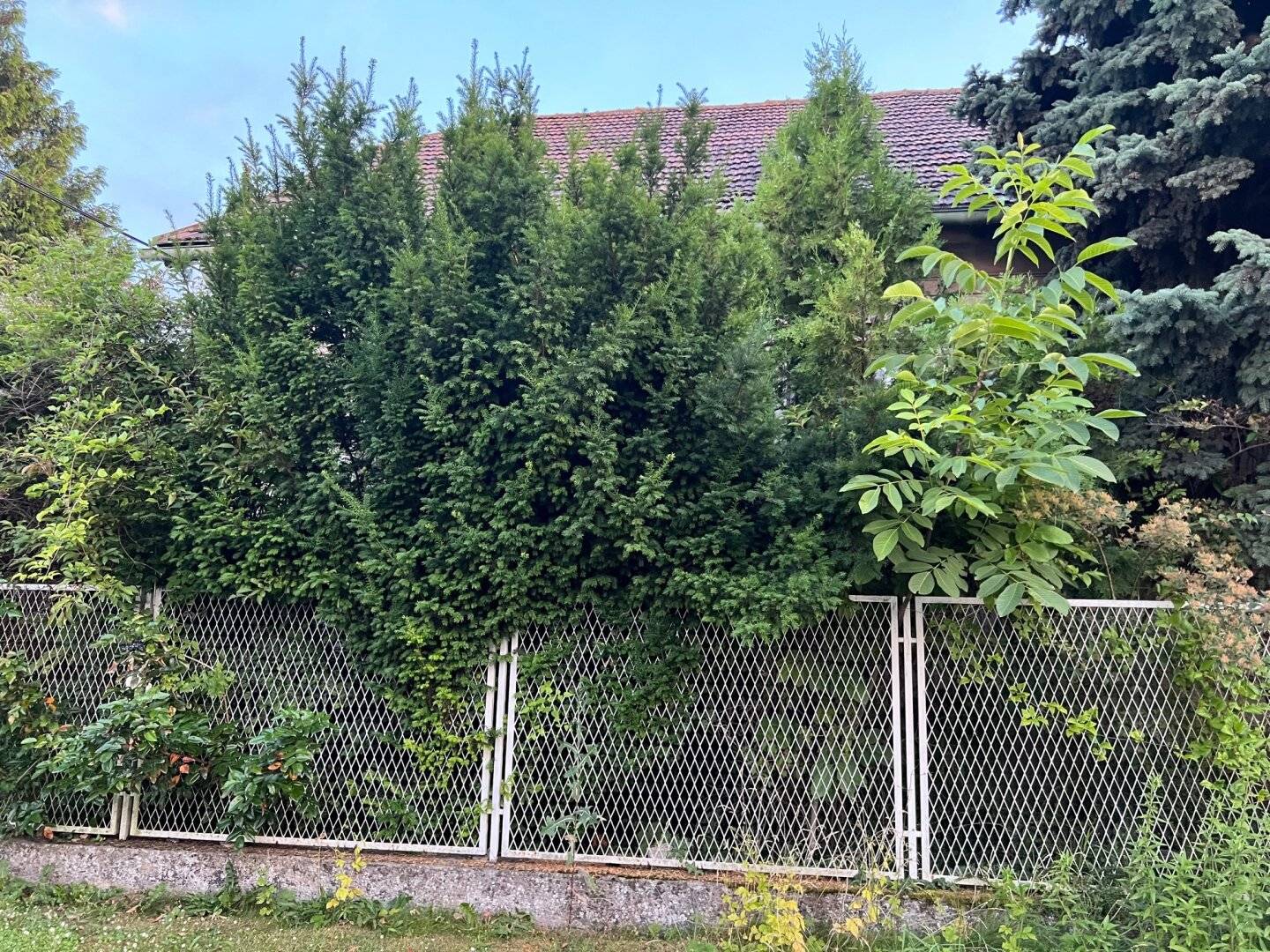 Demolition New Build Green Quiet Location