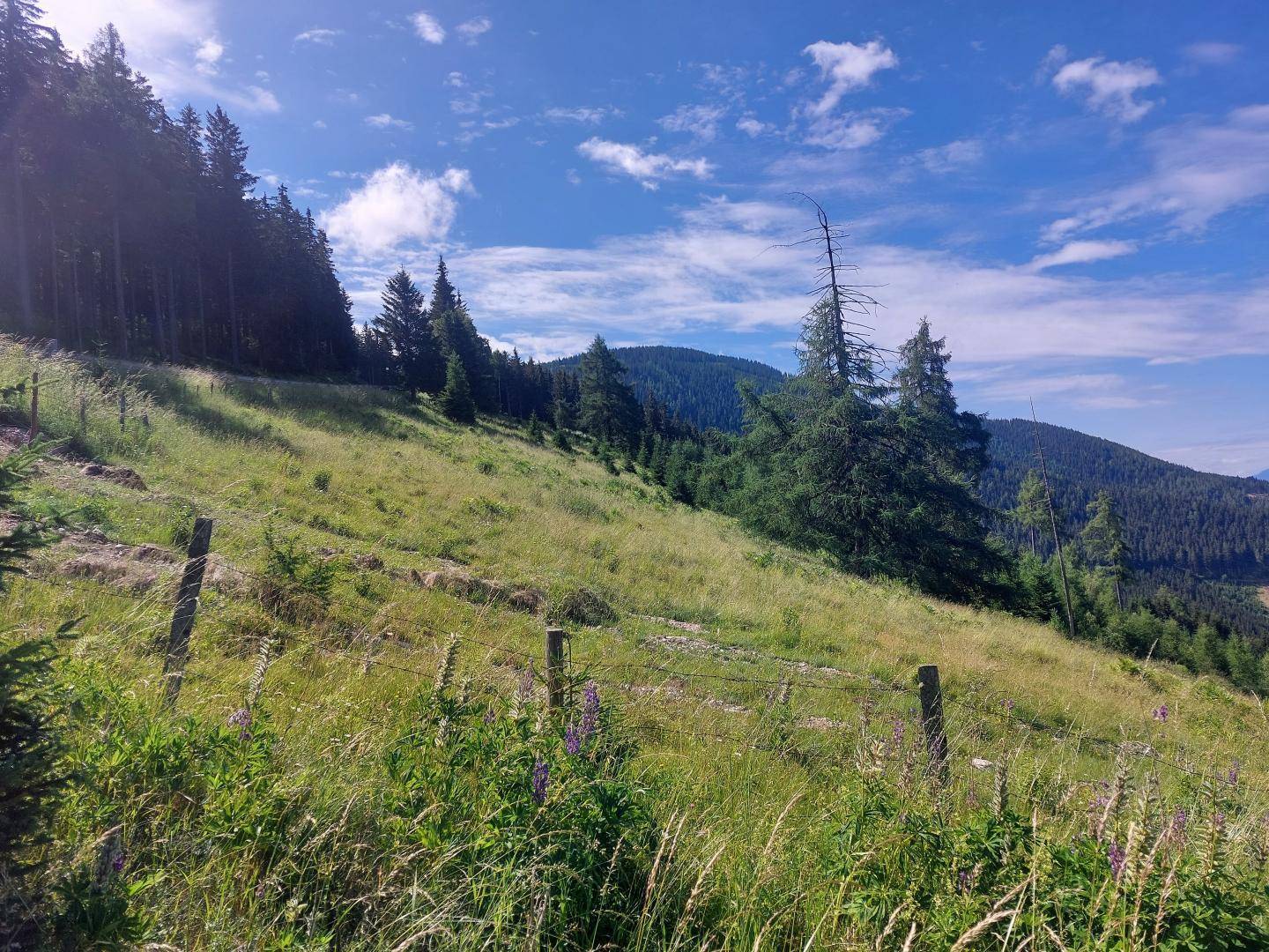 Bauland Kurgebiet und Grünland Koralm in Wolfsberg 10.841 m²