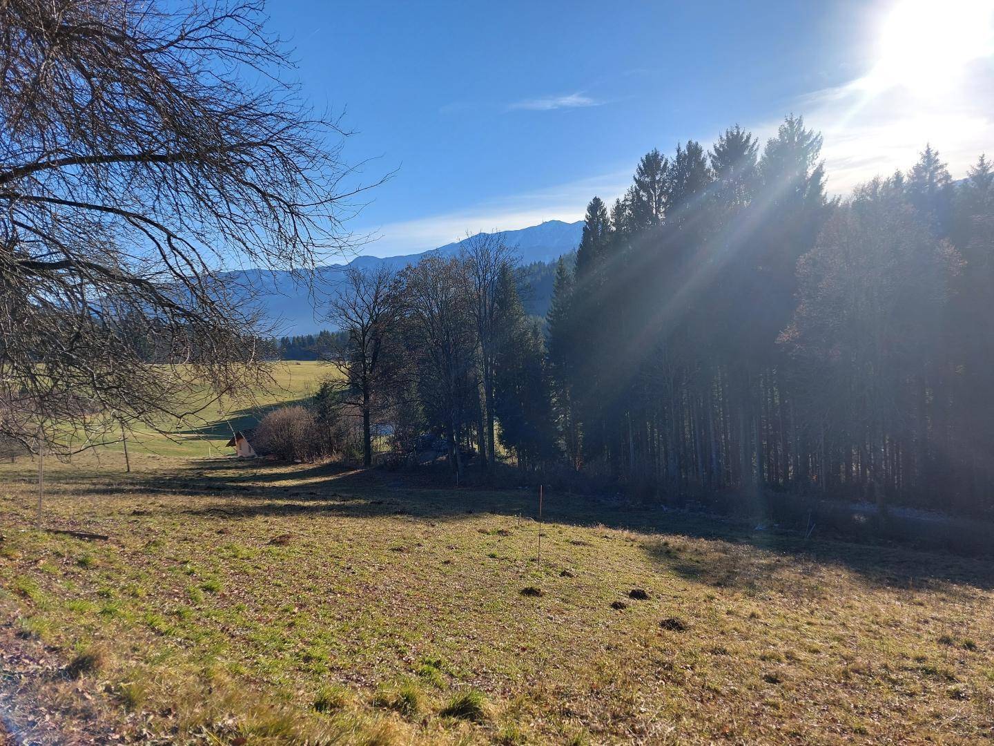 Großes Bauland in Fresach (5.294 m²) mit Potenzial – Dorfgebiet