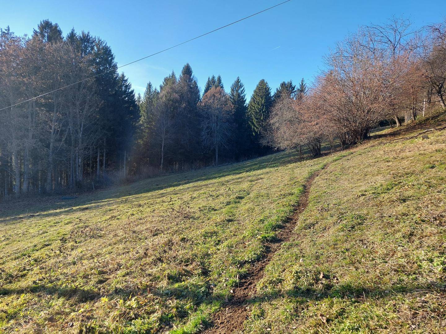 Großes Bauland in Fresach (5.294 m²) mit Potenzial – Dorfgebiet