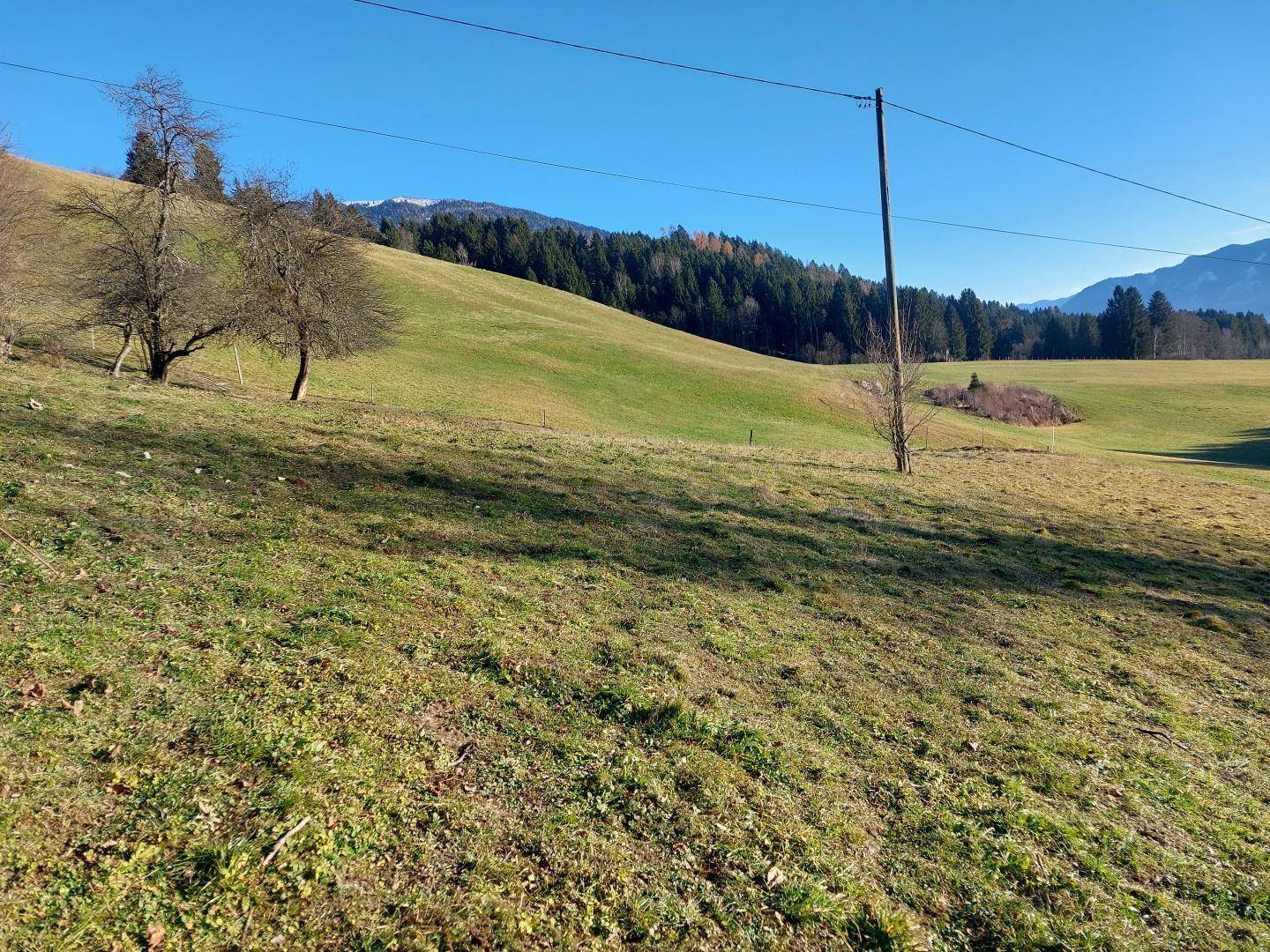 Großes Bauland in Fresach (5.294 m²) mit Potenzial – Dorfgebiet