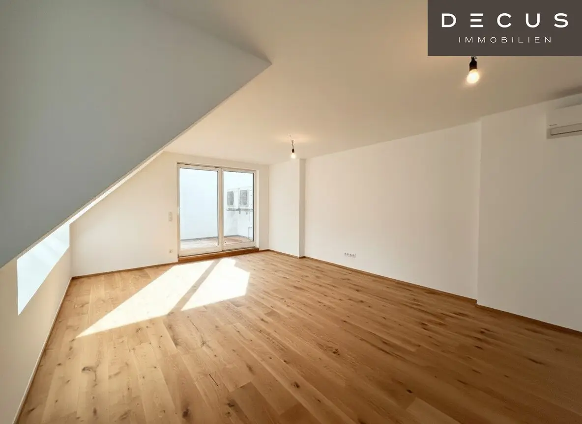 Penthouse Apartment Vienna 1020
