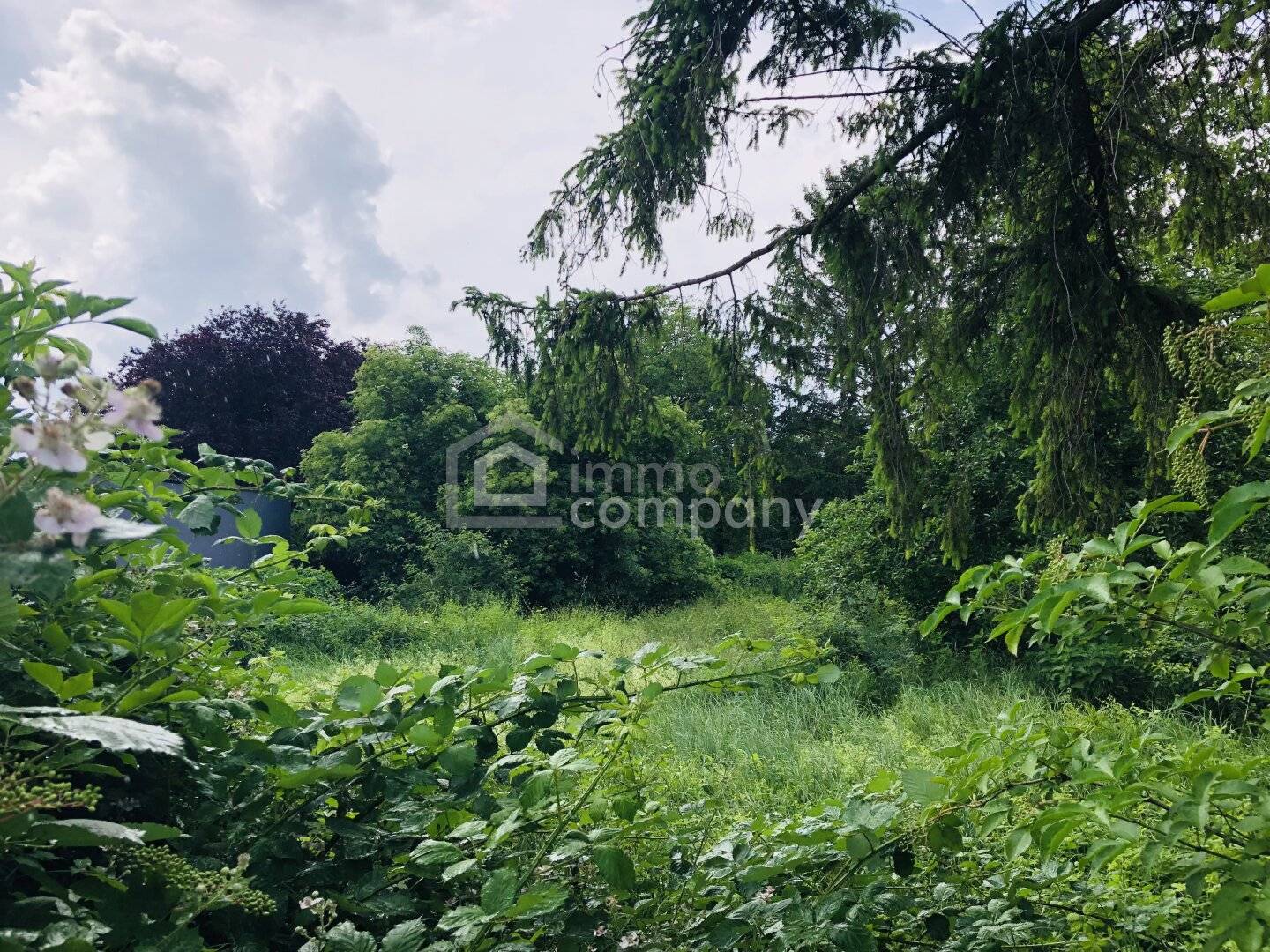 Building plot 743 m² in a green quiet location