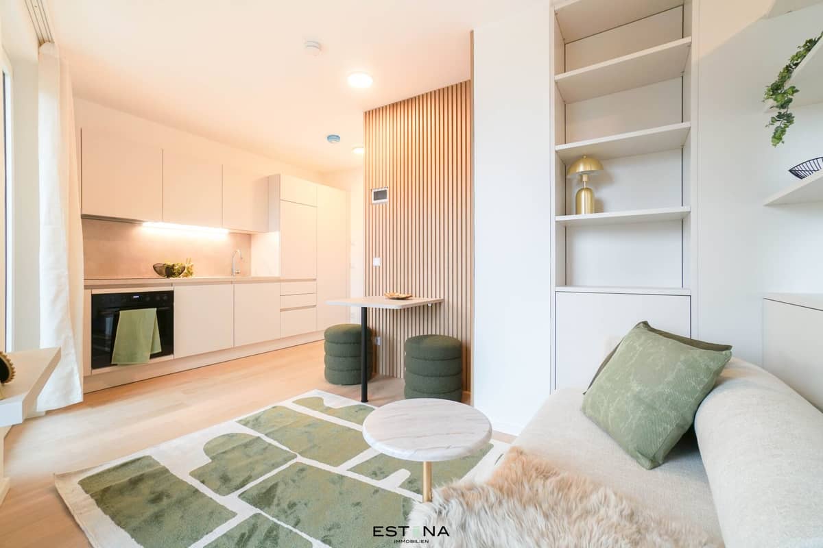 Designer Apartment Newbuild Vienna 1040