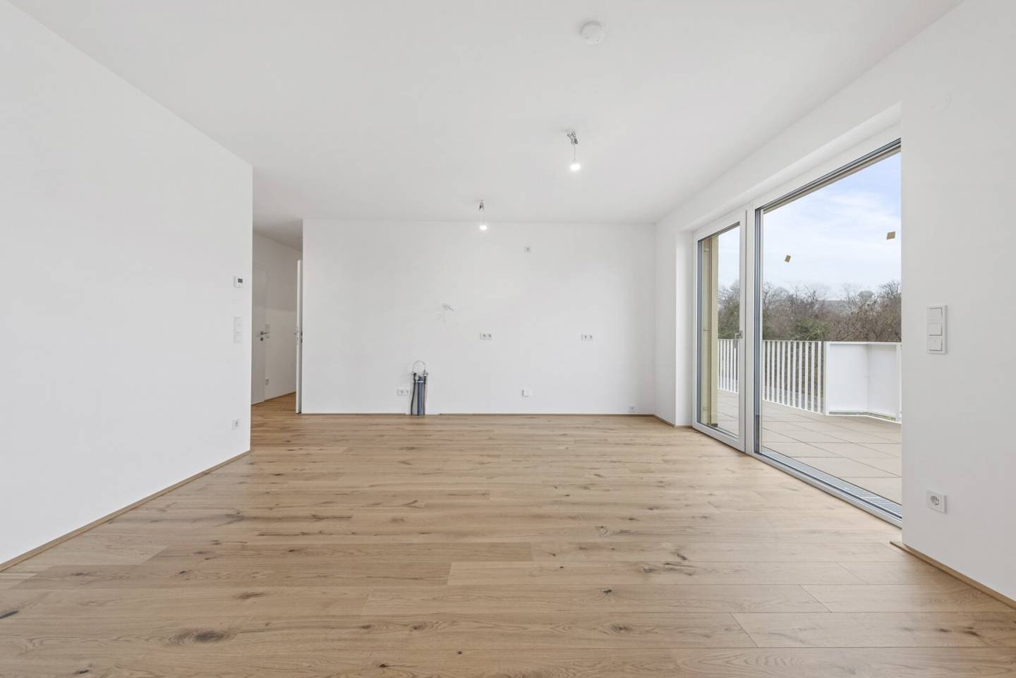 Färber² | Wohnraum und Küche