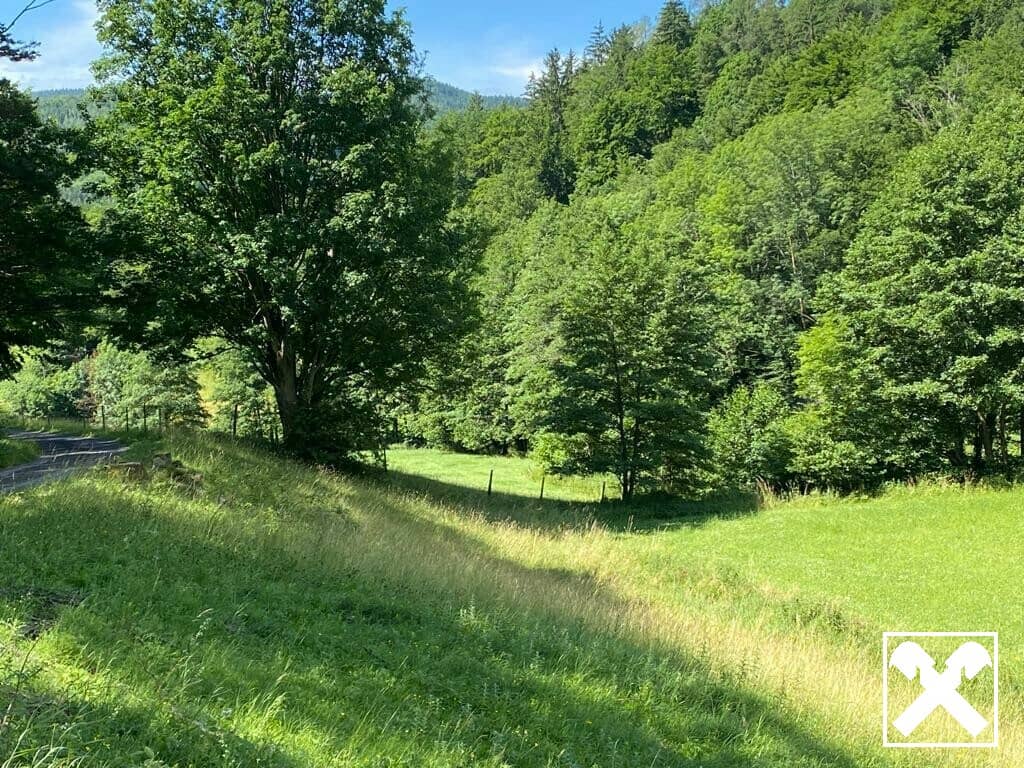 Baugrundstück in Reichenau an der Rax - freier Blick auf das Raxmassiv