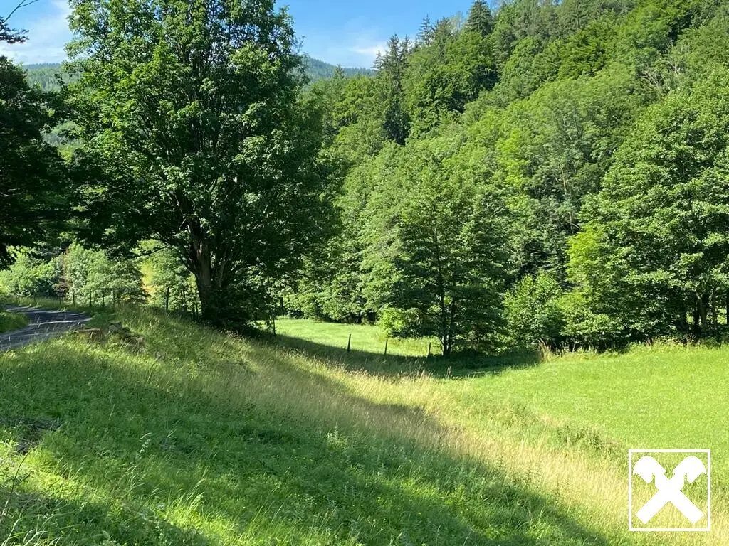 Traumkulisse! Freier Blick auf die Rax!