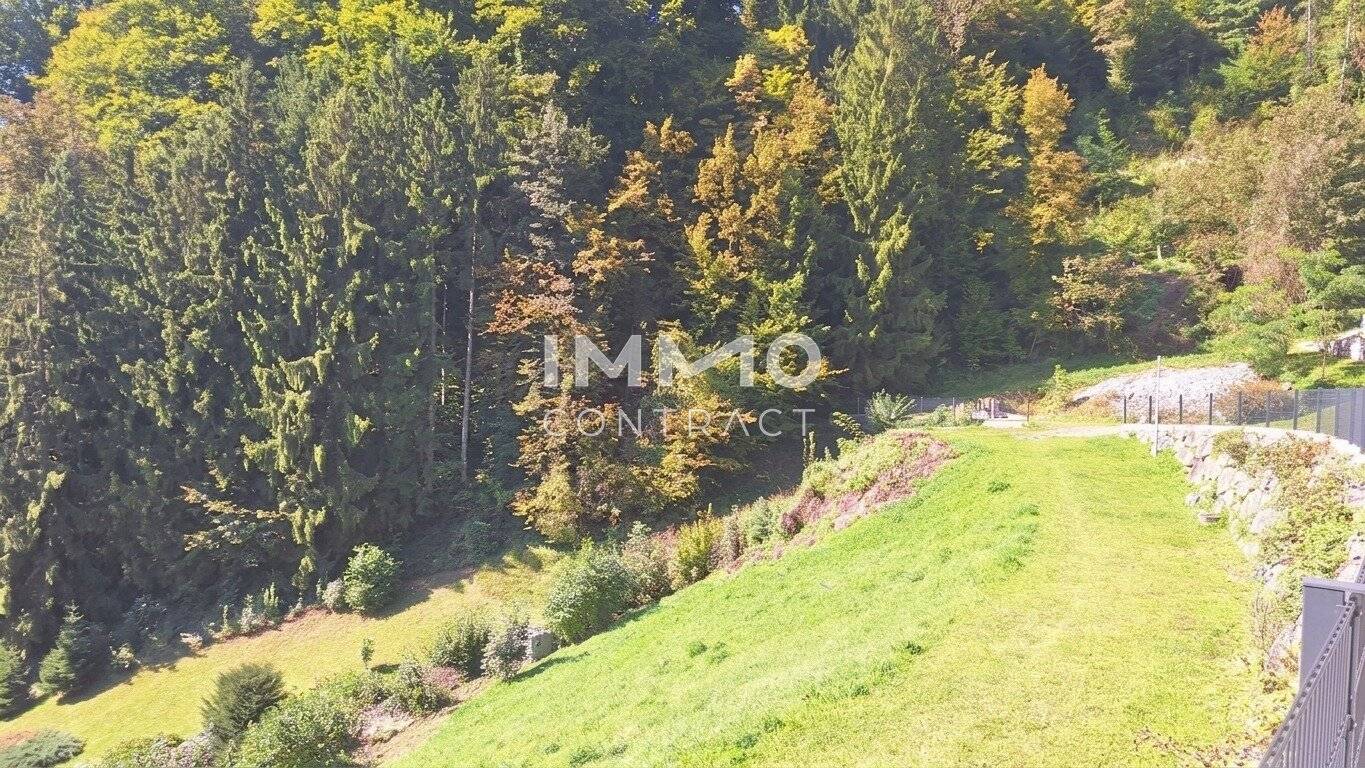 Baugrund 1.177 m² mit Donaublick - Südhang - mit angrenzenden kleinen Grünland 255 m² - St. Nikola