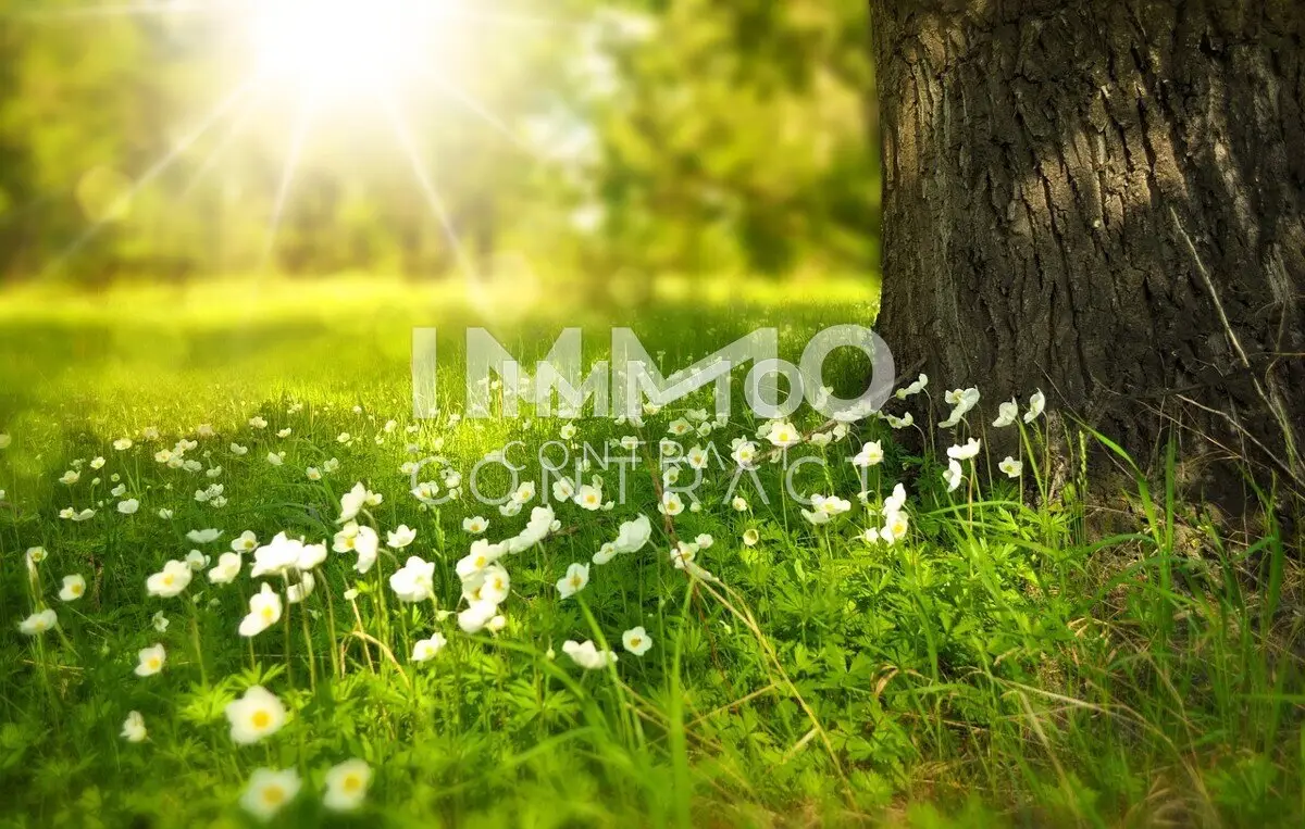 Price Hit Beautiful Plot with Panoramic View and Existing Power Connection