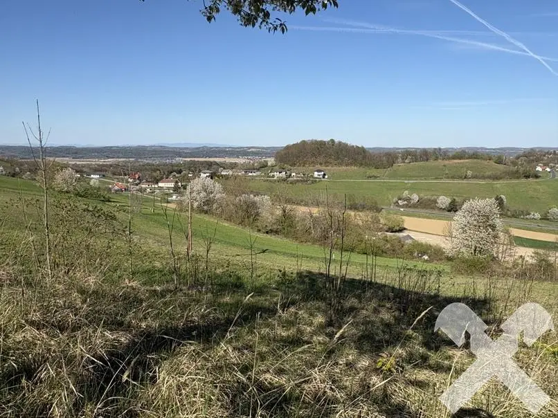 Baugrundstück in wunderbarer Kuppen-Lage