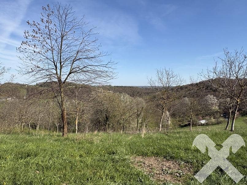 Landwirtschaftliche Fläche mit kleinem Wald in Henndorf, Burgenland