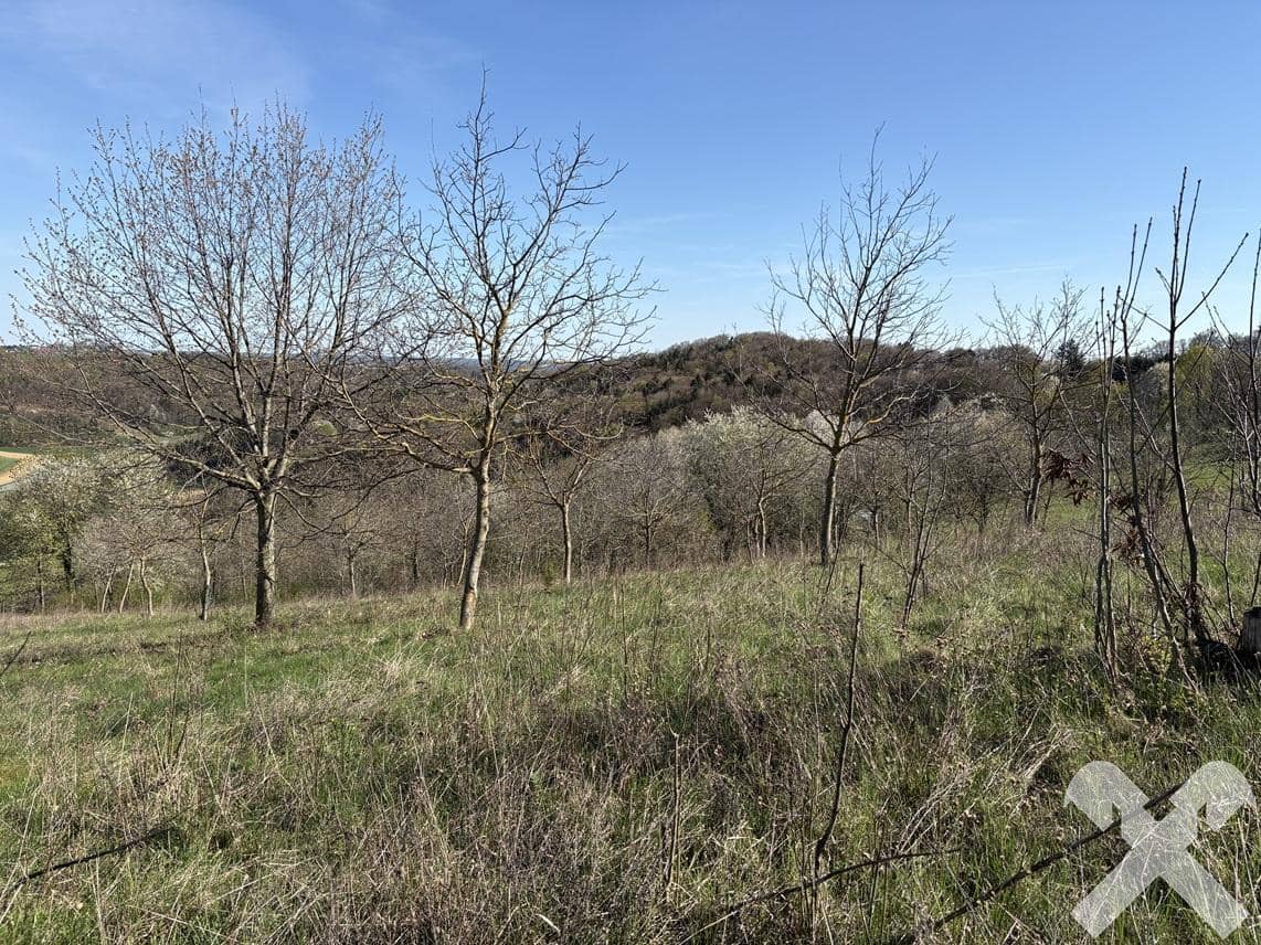 Landwirtschaftliche Fläche mit kleinem Wald in Henndorf, Burgenland