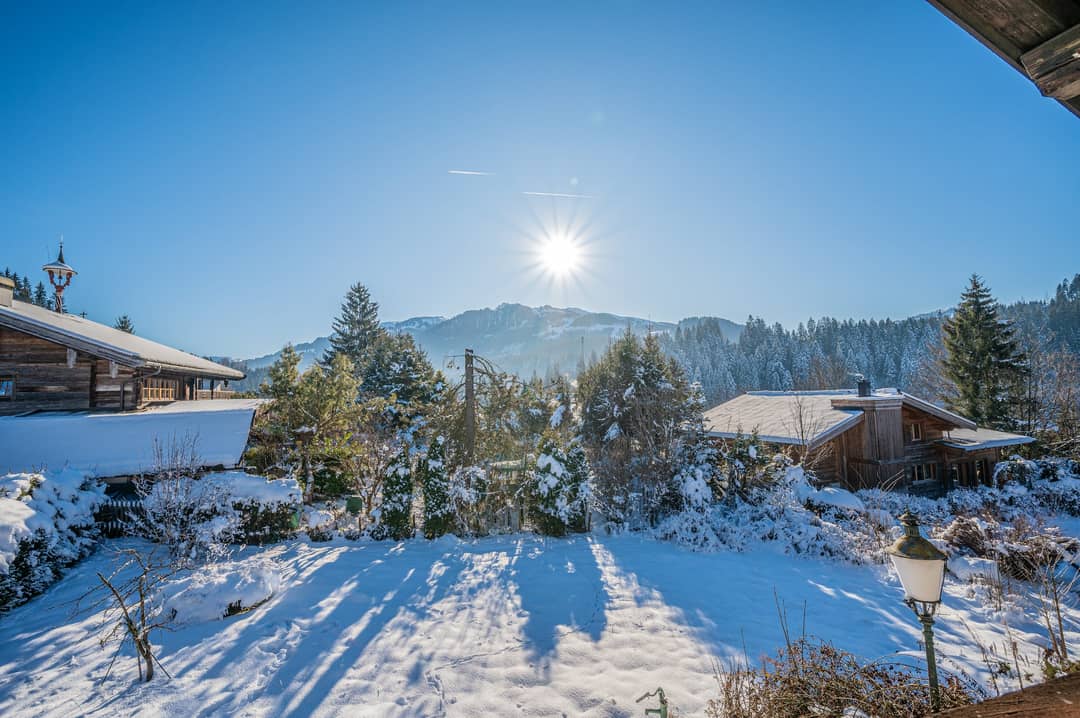_DSC7454