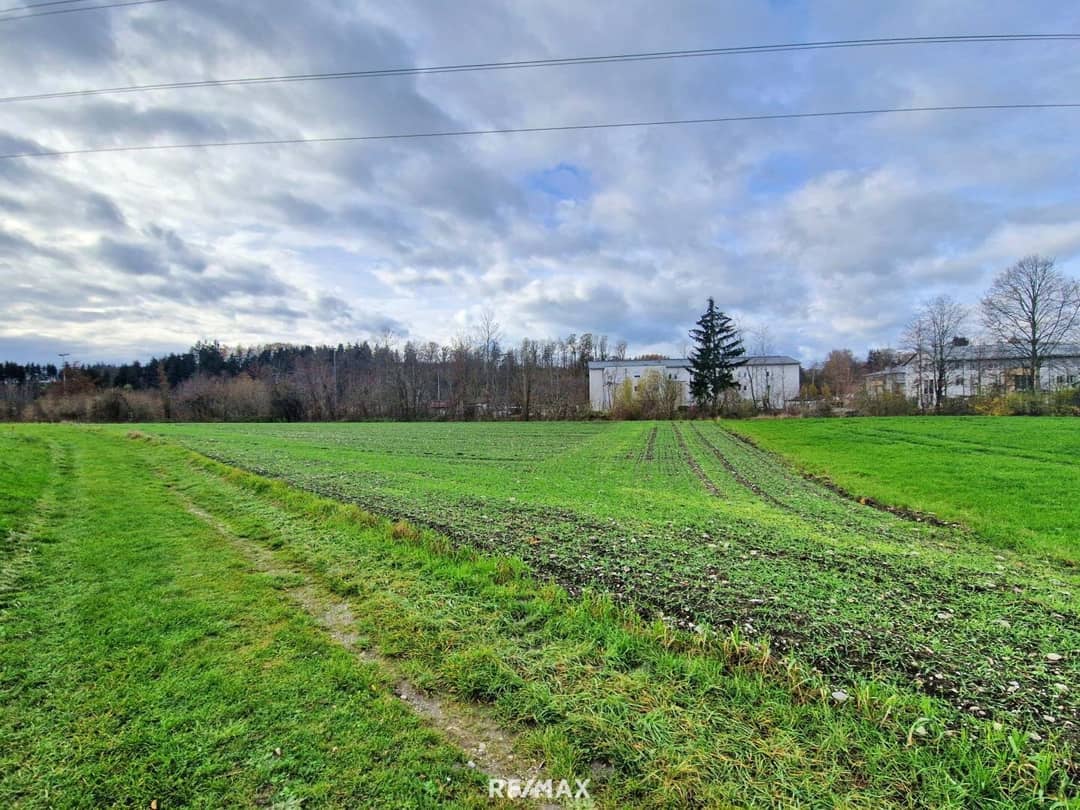 Landwirtschaftlicher Nutzgrund in Aurolzmünster, ca. 2.786 m²
