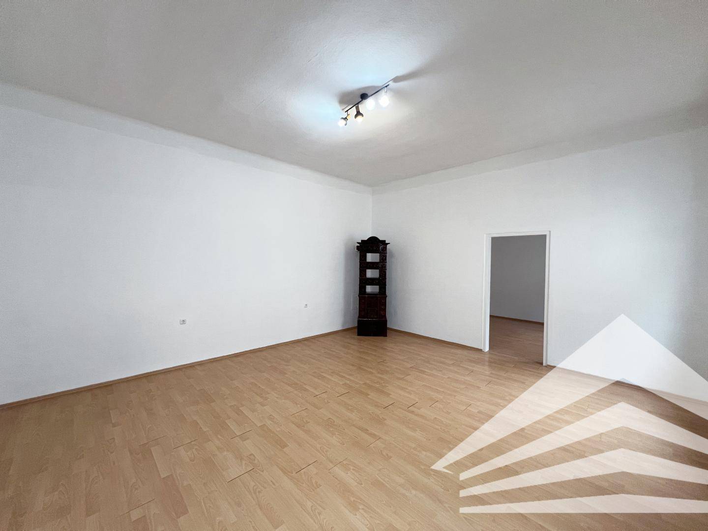 Apartment in city center with separate kitchen