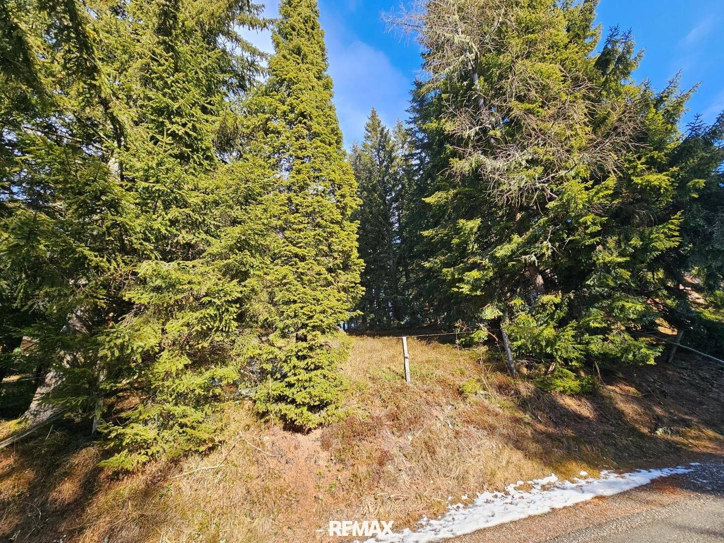 Grundstück in St. Anna am Lavantegg – ca. 2045 m², Rodungsbewilligung
