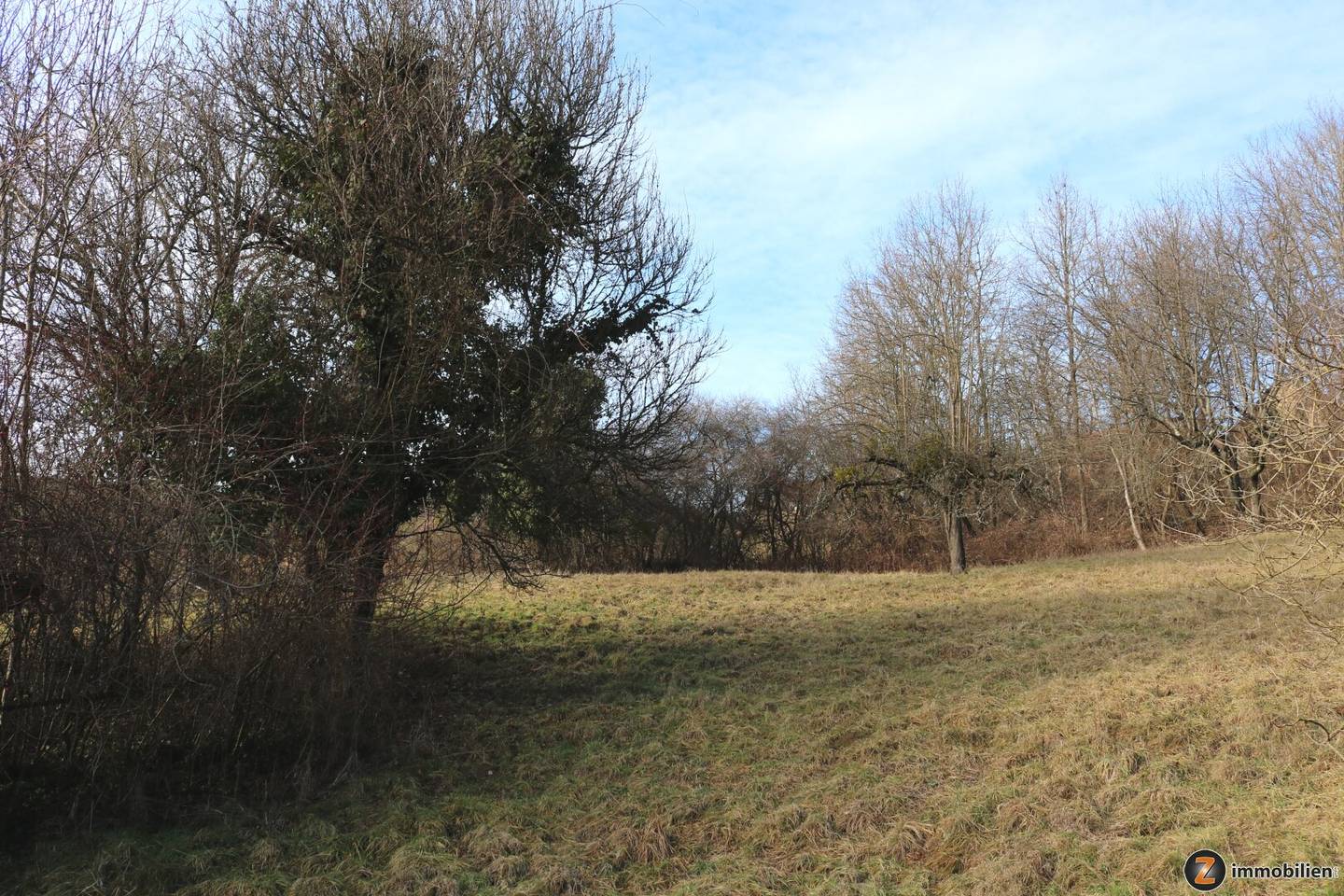 Weichselbaum: 4.5 ha farmland in sunny standalone location','de':'Weichselbaum: 4,5 ha Landwirtschaft in sonniger Einzellage