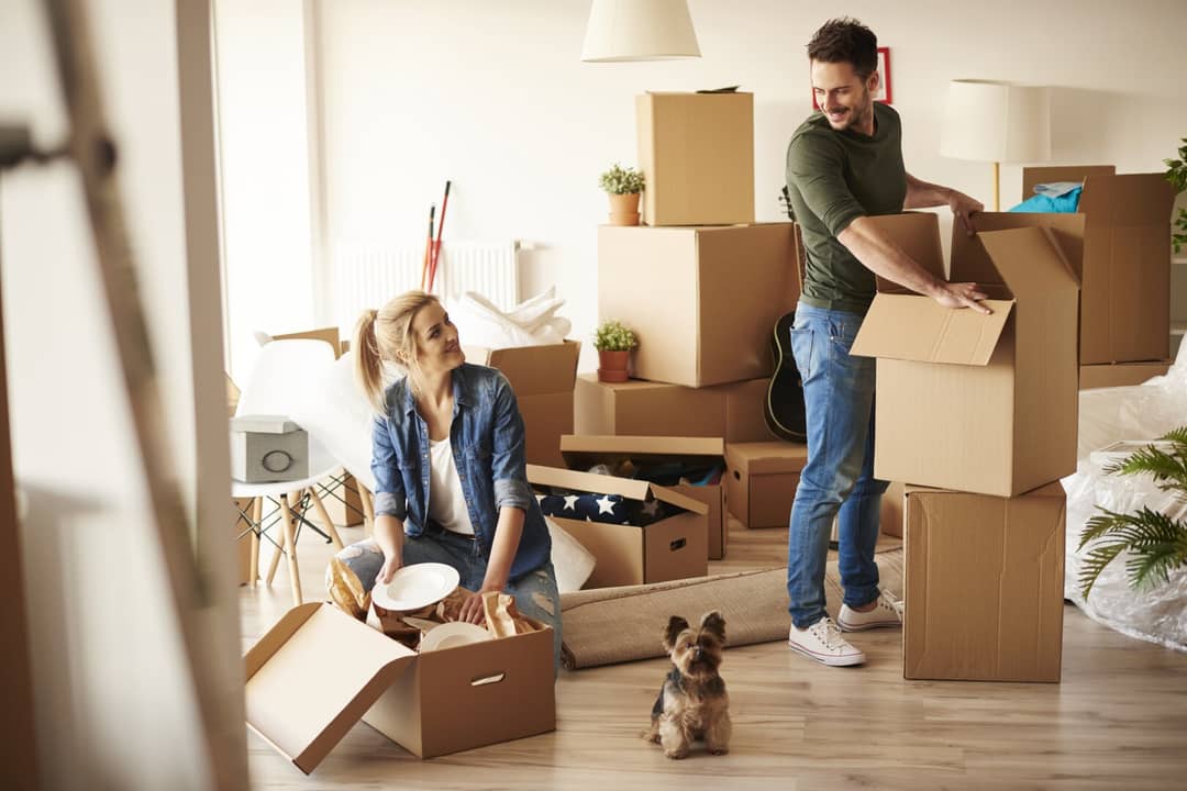 Apartment in central location near Citypark