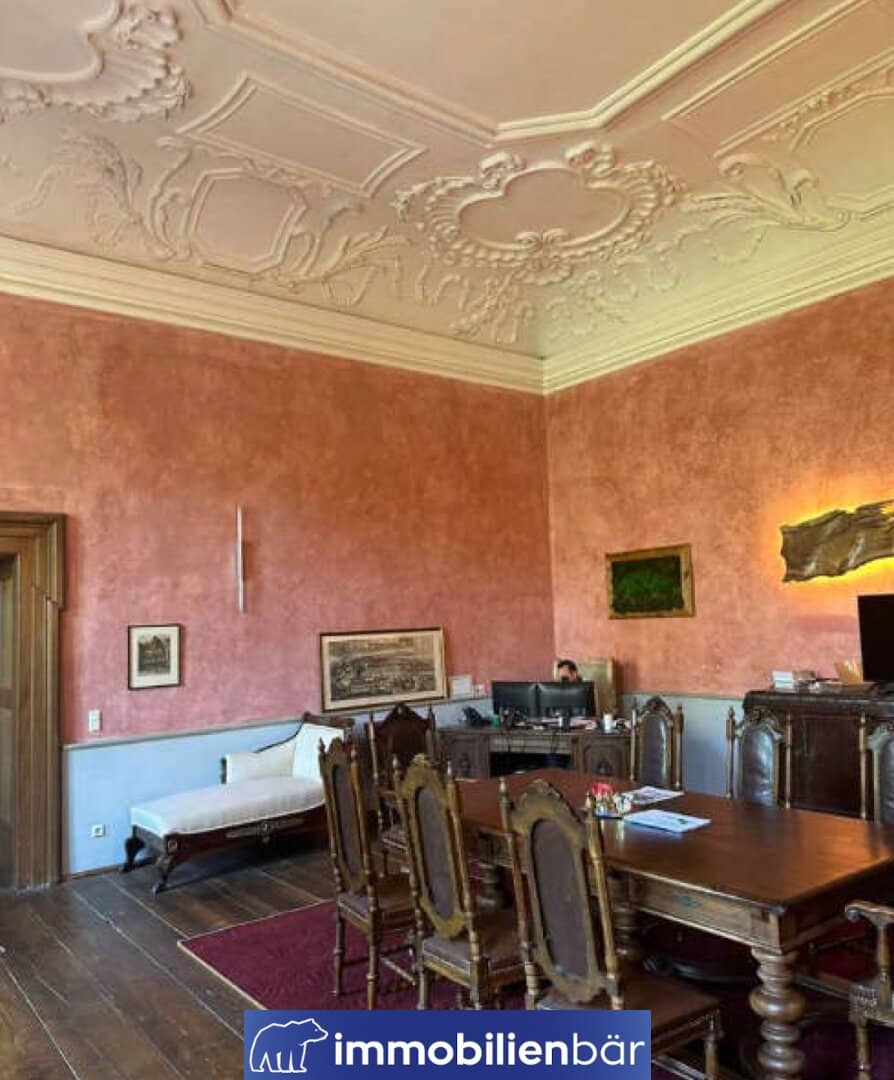 Representative office spaces in the castle with kitchen and meeting room
