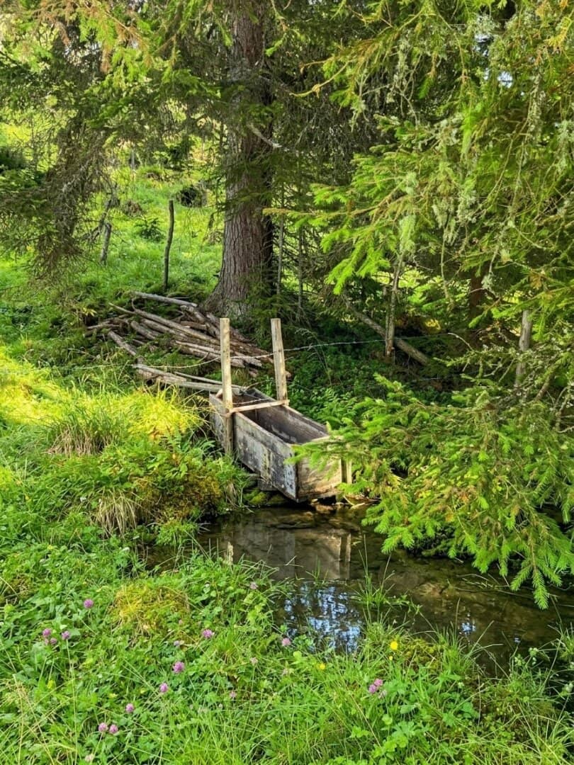 20 ha Waldbesitz im Pölstal
