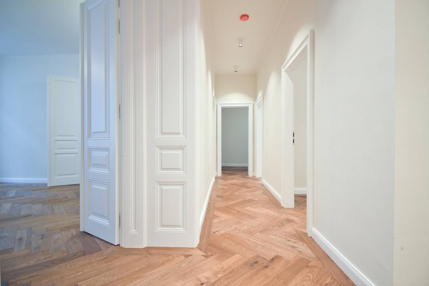 First occupancy bright apartment with fireplace