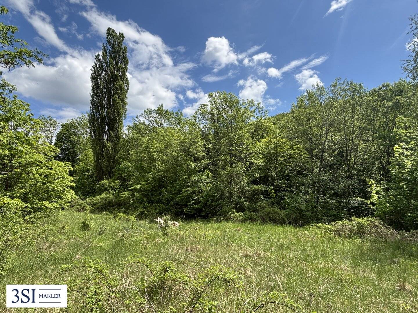Exclusive development site for hotel and leisure projects near Vienna','de':'Exklusives Entwicklungsareal für Hotel- und Freizeitprojekte nahe Wien