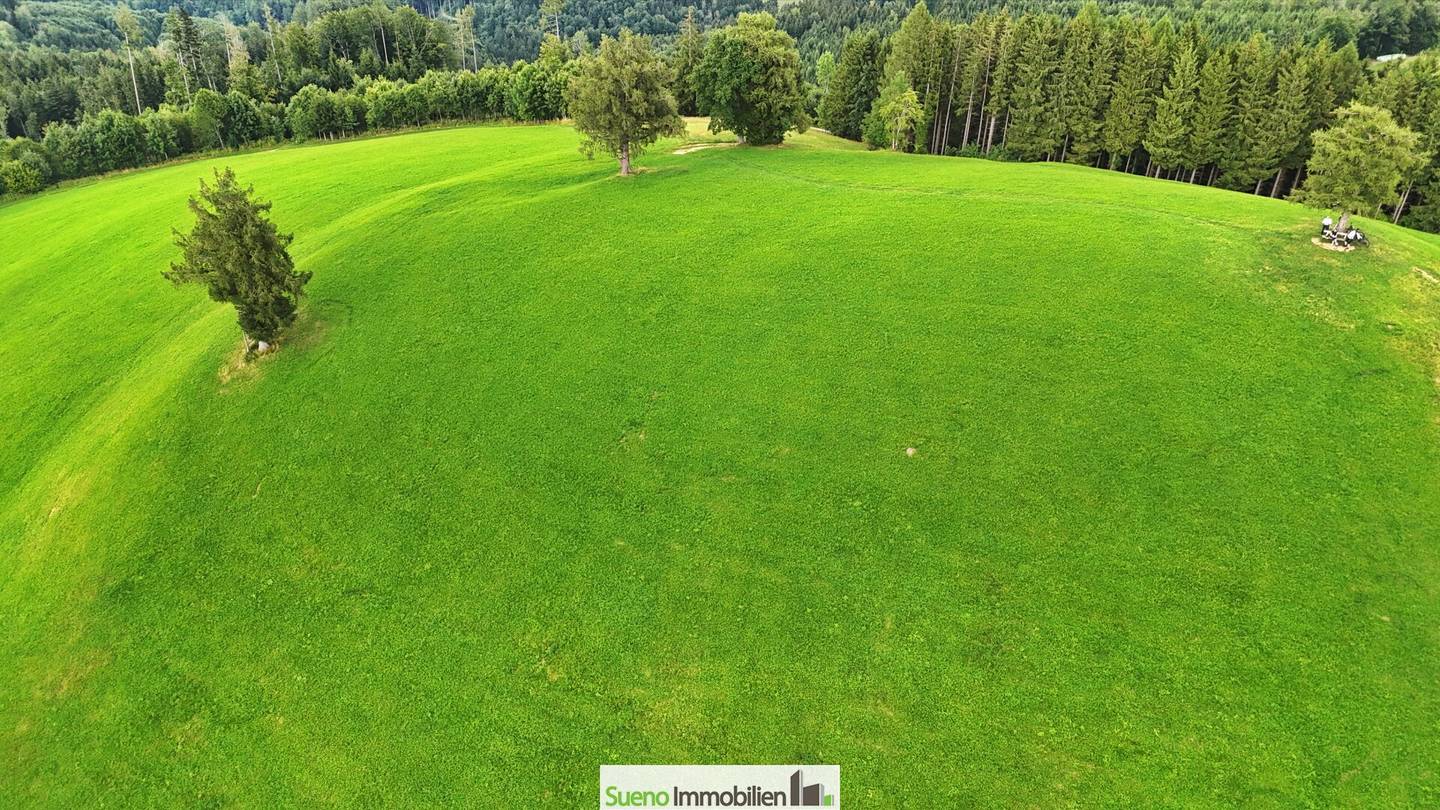 Grundstück in Kirchdorf an der Krems: Traum-Grillparz mit Ausblick