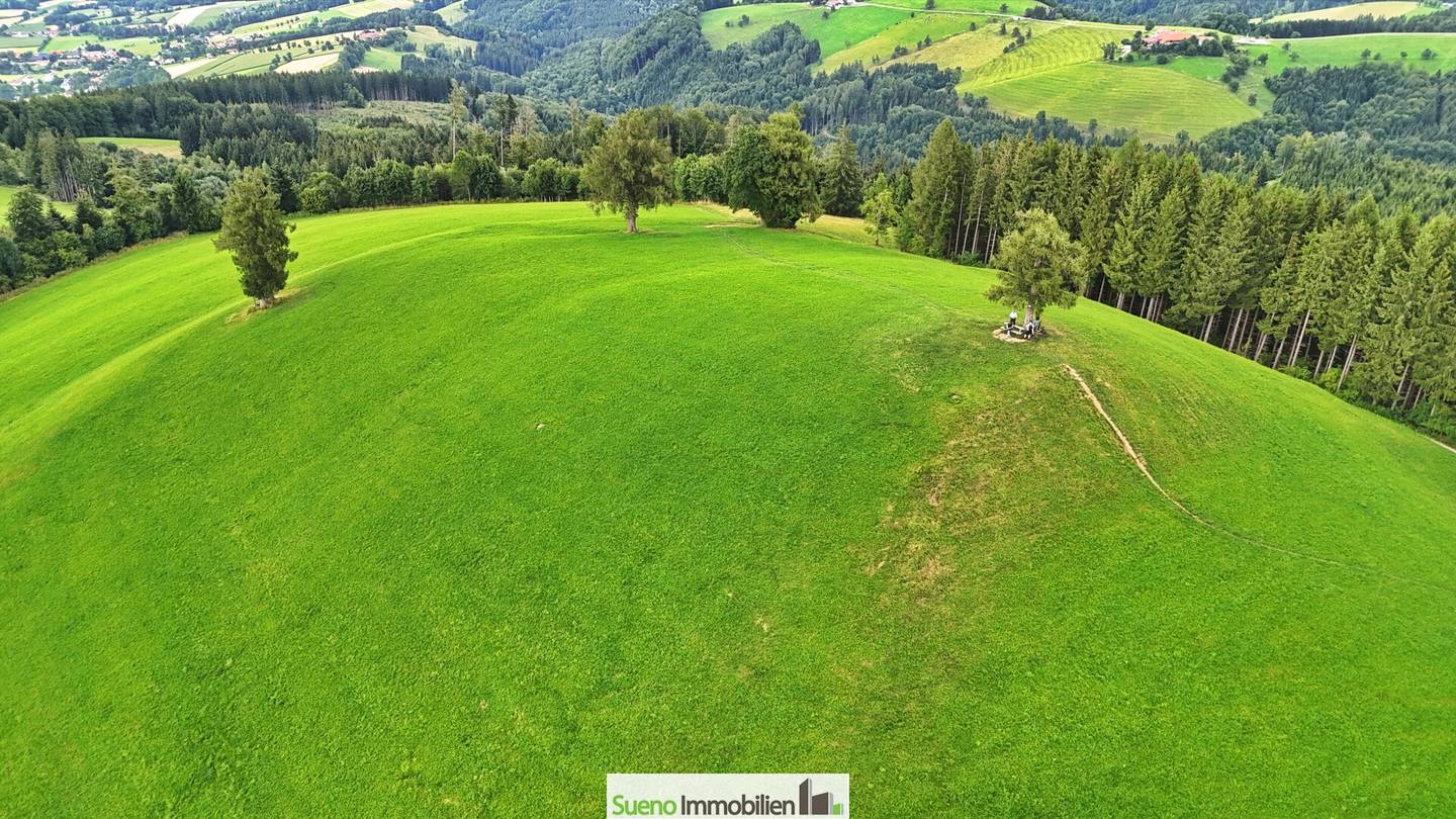 Grundstück in Kirchdorf an der Krems: Traum-Grillparz mit Ausblick
