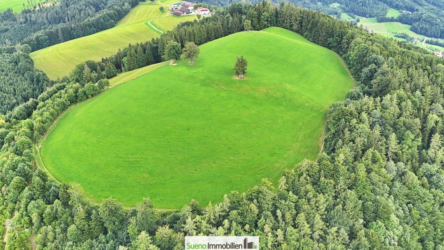 Grundstück in Kirchdorf an der Krems: Traum-Grillparz mit Ausblick