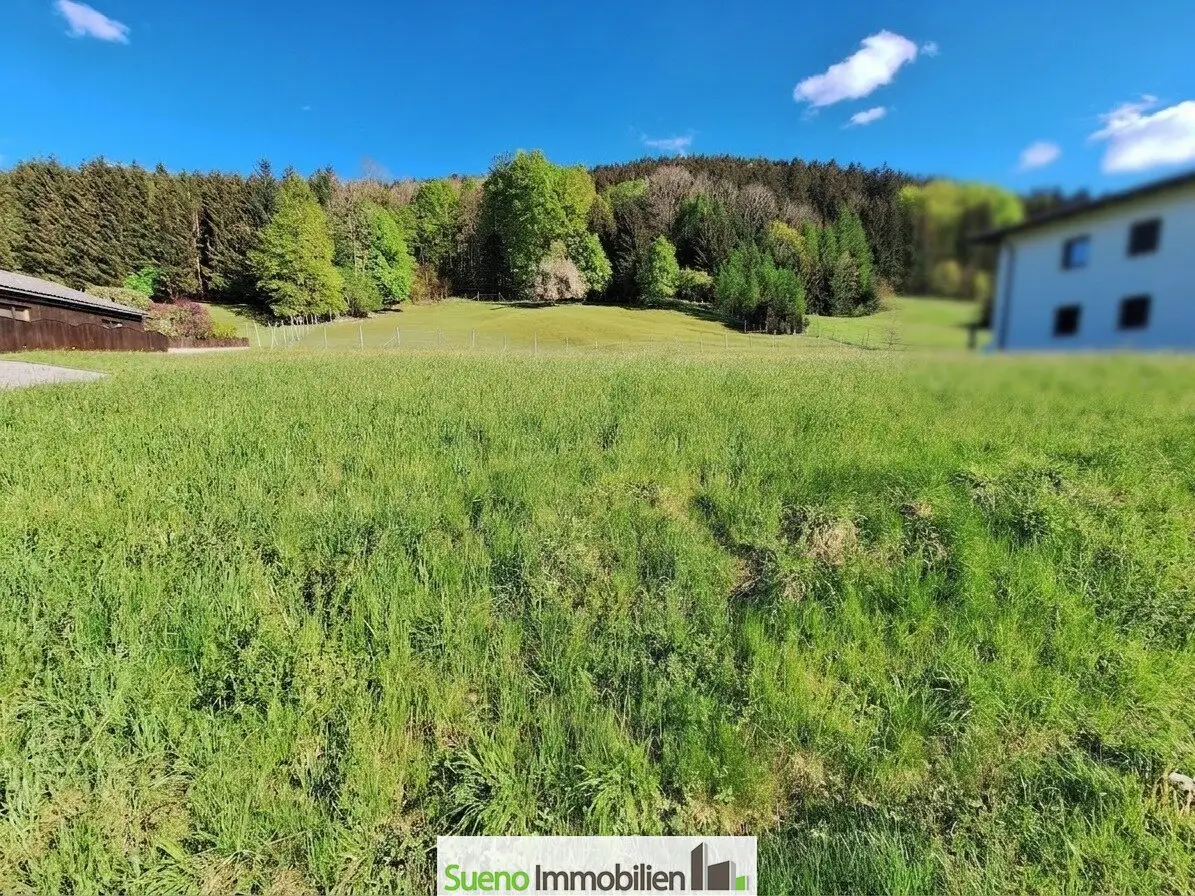 Future proof Investment in Land