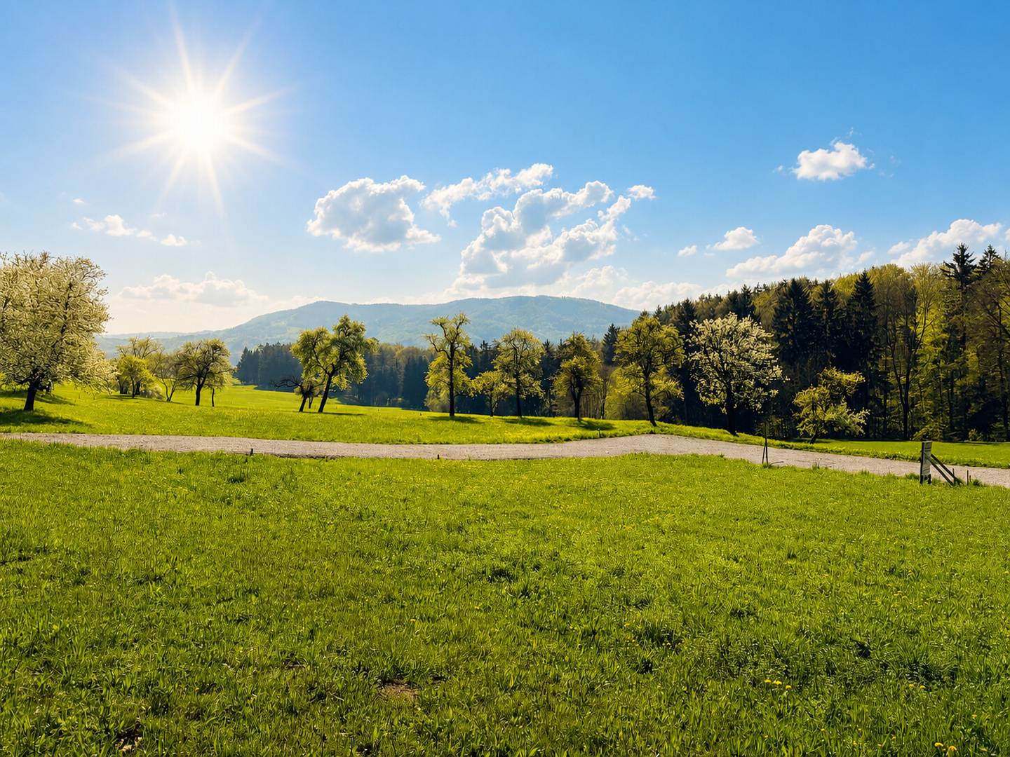 Baugrundstück in Garsten-Saaß, 648 m², aufgeschlossen, Fernblick