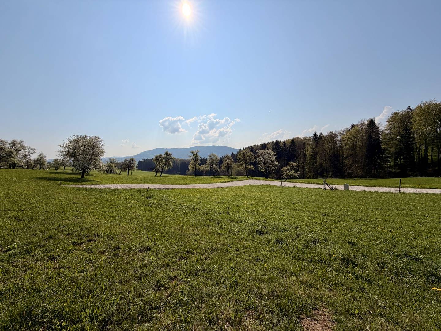 Baugrundstück in Garsten-Saaß, 648 m², aufgeschlossen, Fernblick
