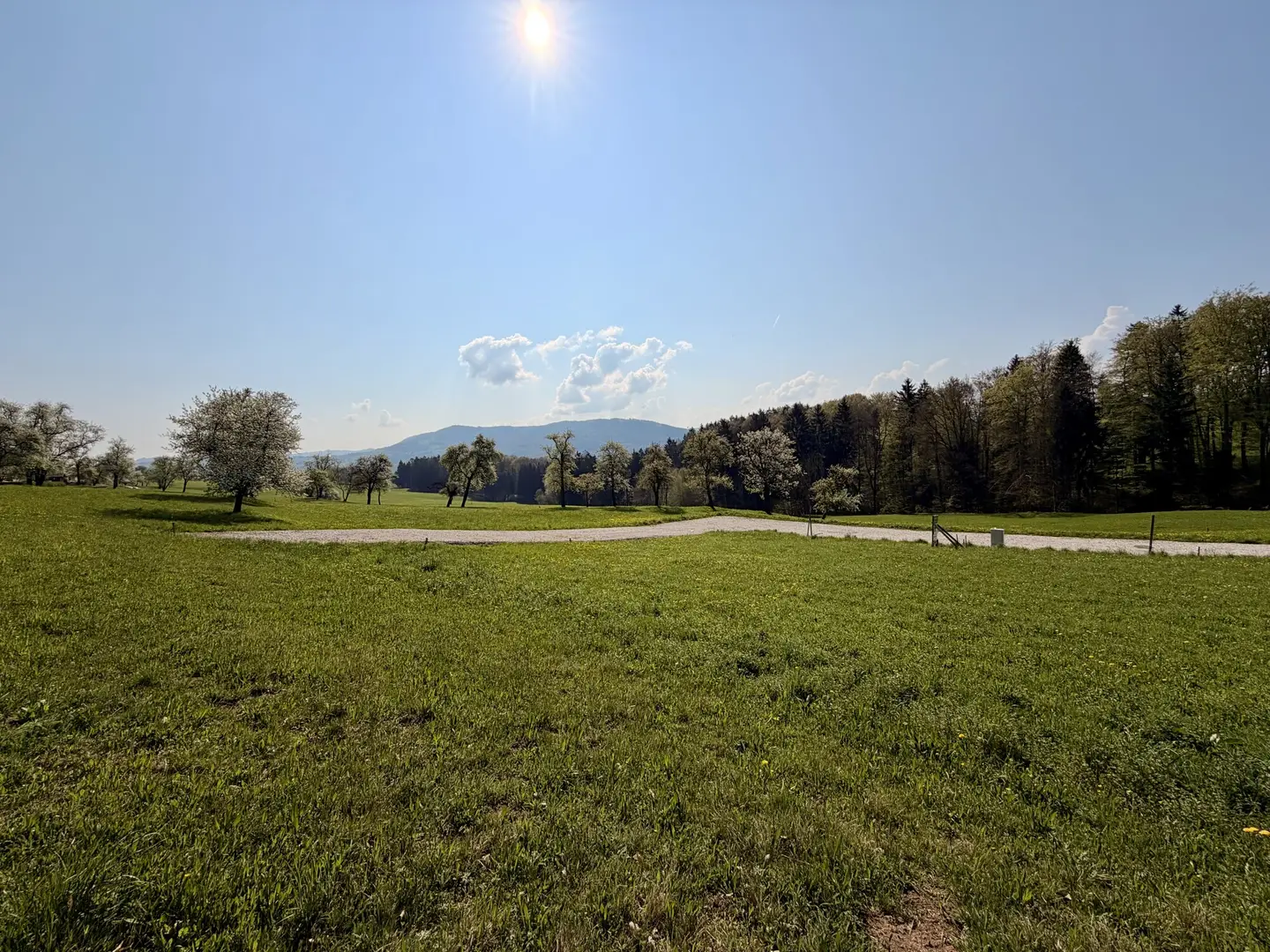 Baugrundstück in Garsten-Saaß, 648 m², aufgeschlossen, Fernblick