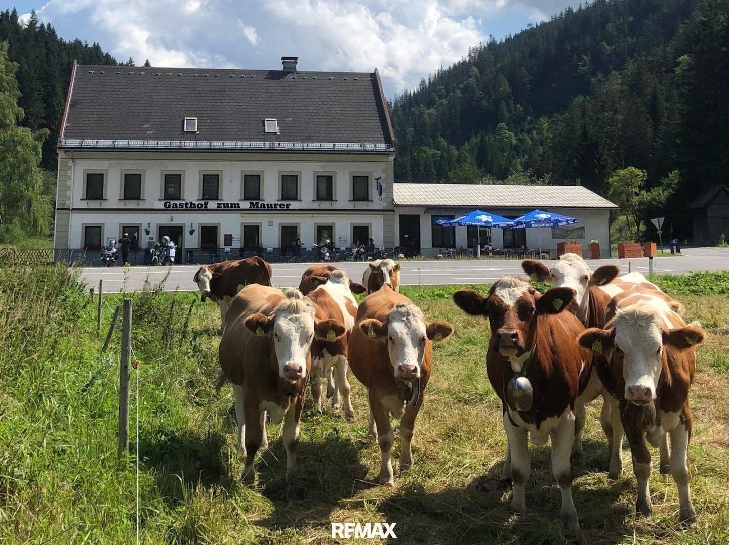 Gasthof in Mariazell: Betriebsbereit, Top-Lage im Mariazellerland