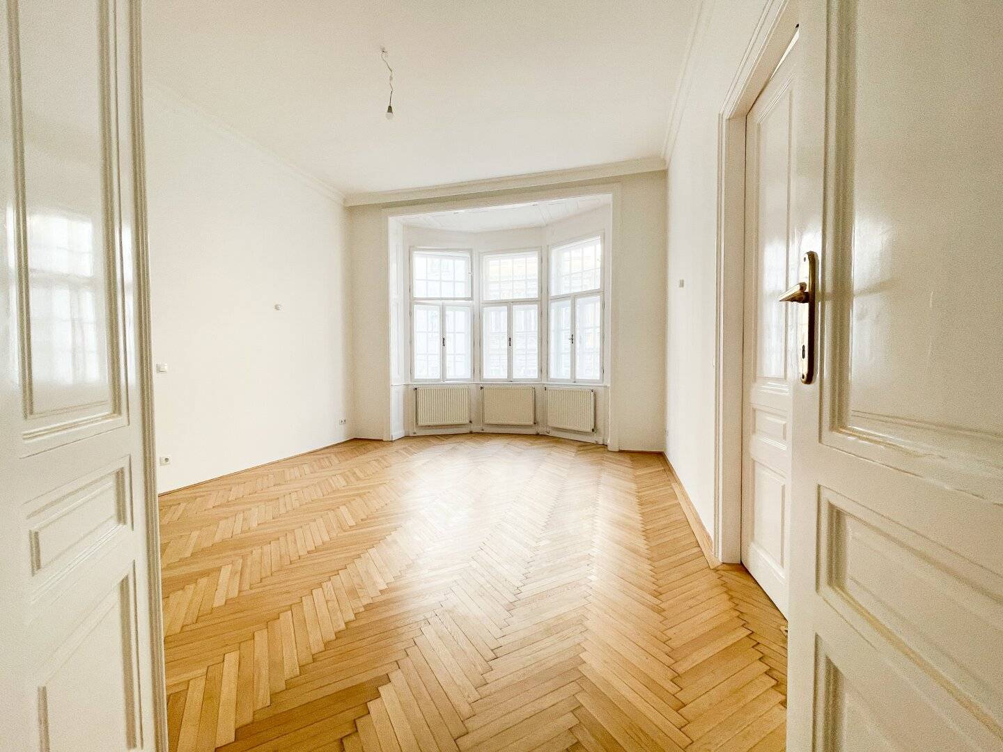 Historic style apartment modernized with balcony