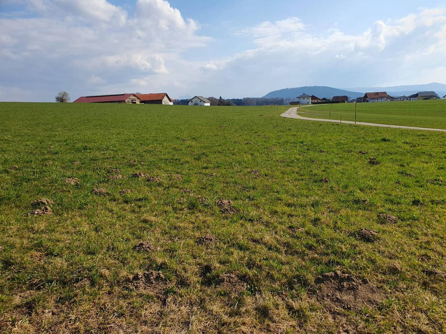 Landwirtschaftlicher Nutzgrund ca. 2,5 ha