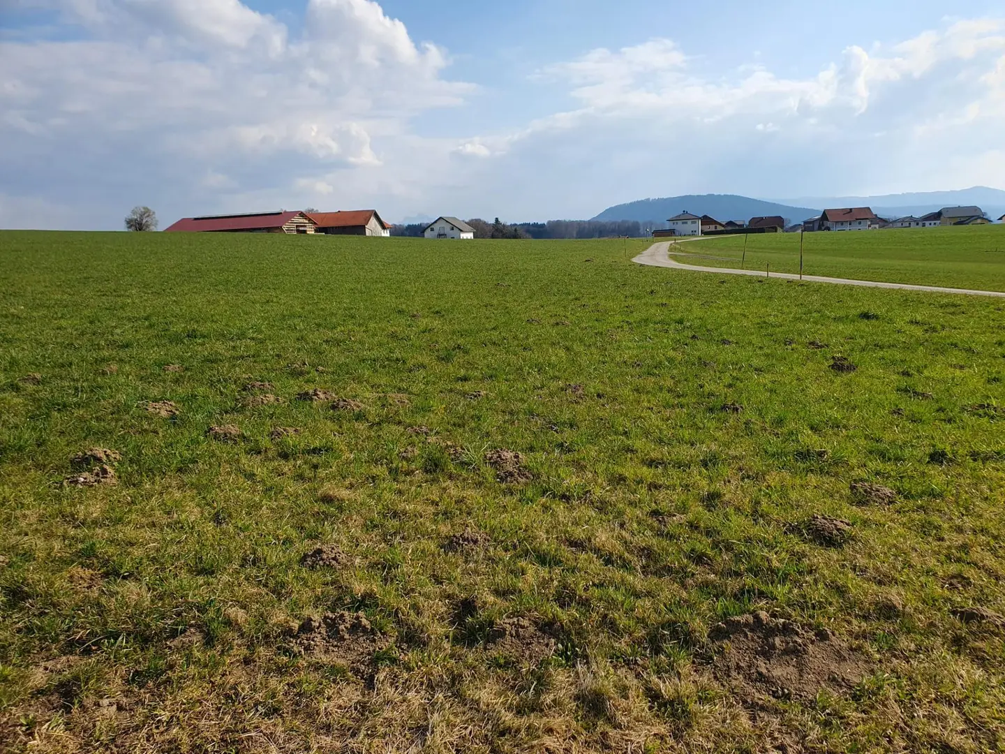 Landwirtschaftlicher Nutzgrund ca. 2,5 ha