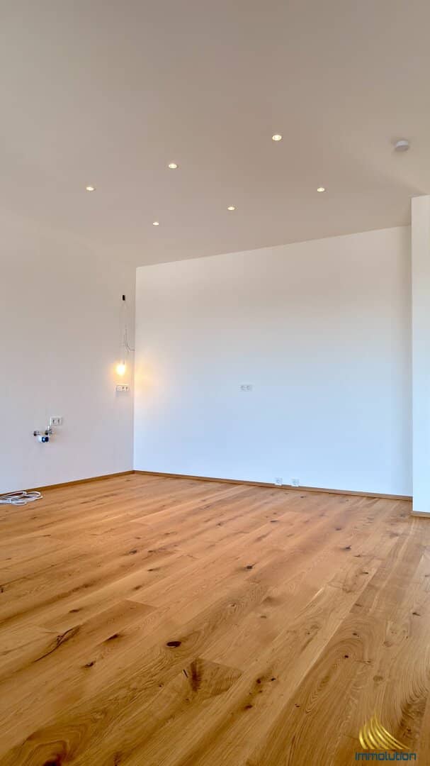 Penthouse with alpine view rooftop terrace brand new