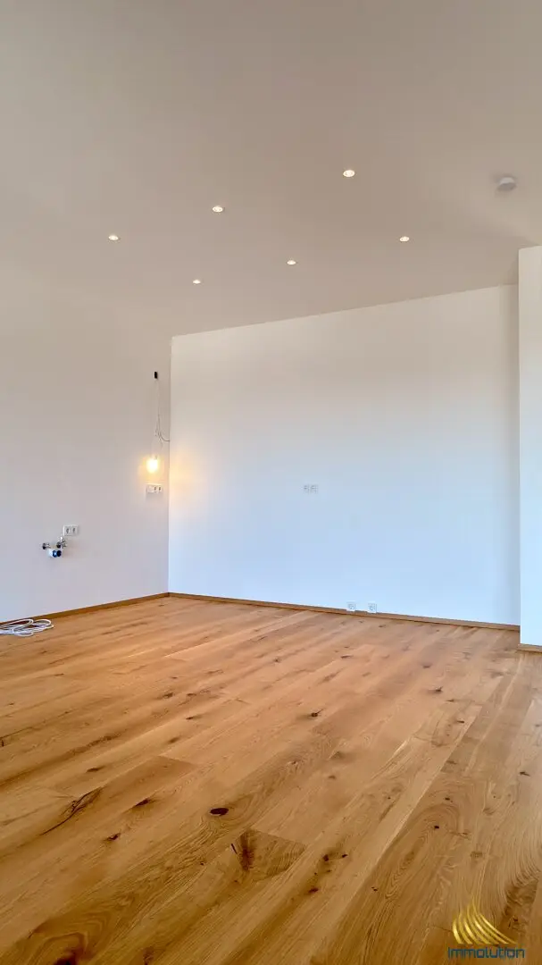 Penthouse with alpine view rooftop terrace brand new