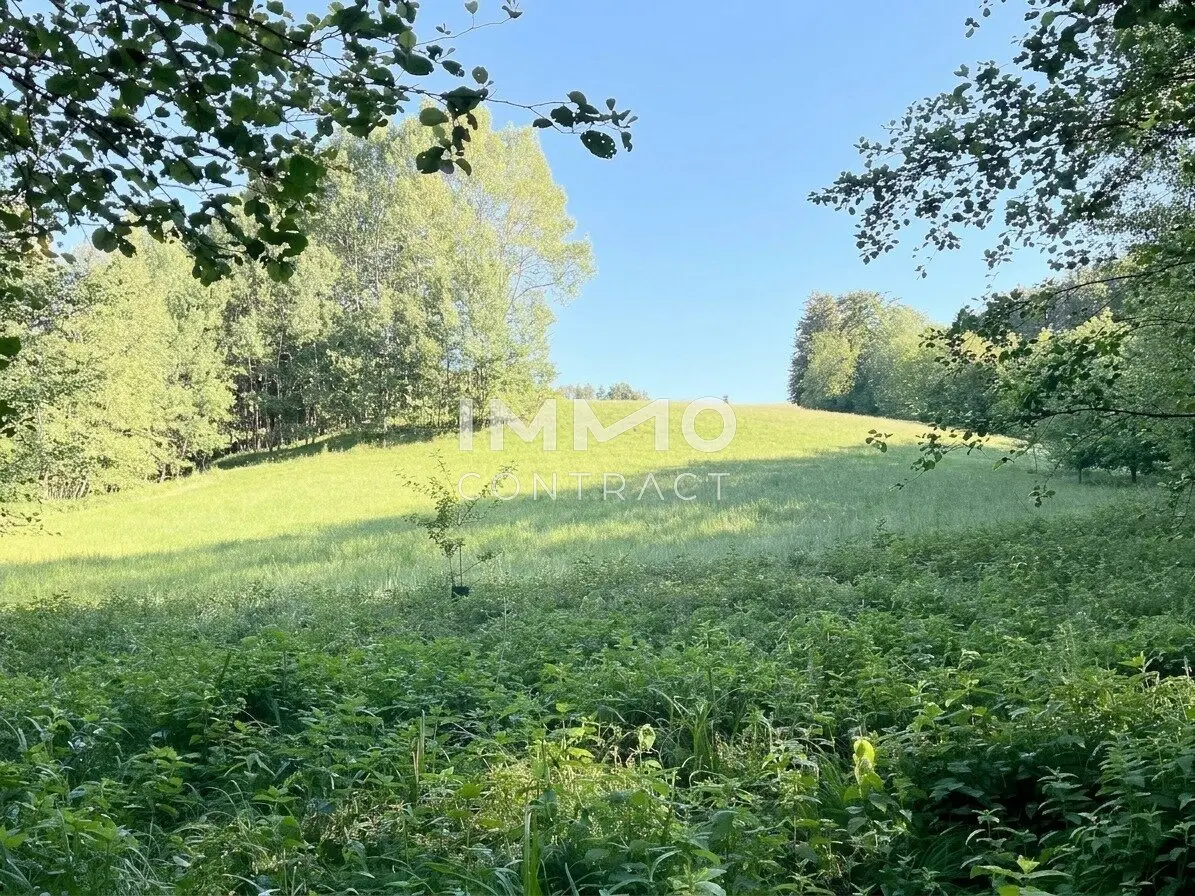 Pure relaxation in your own forest with a stream and meadows near Amstetten