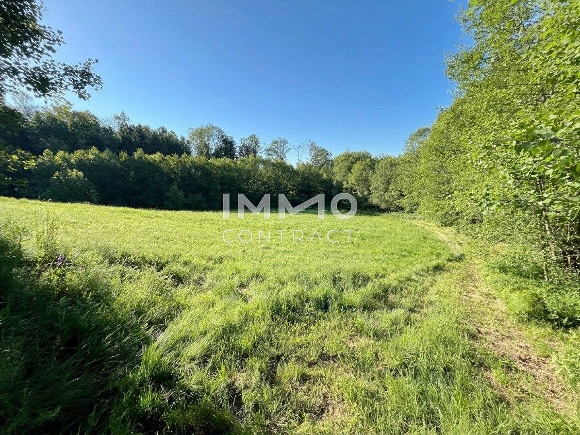 Pure relaxation in your own forest with a stream and meadows near Amstetten