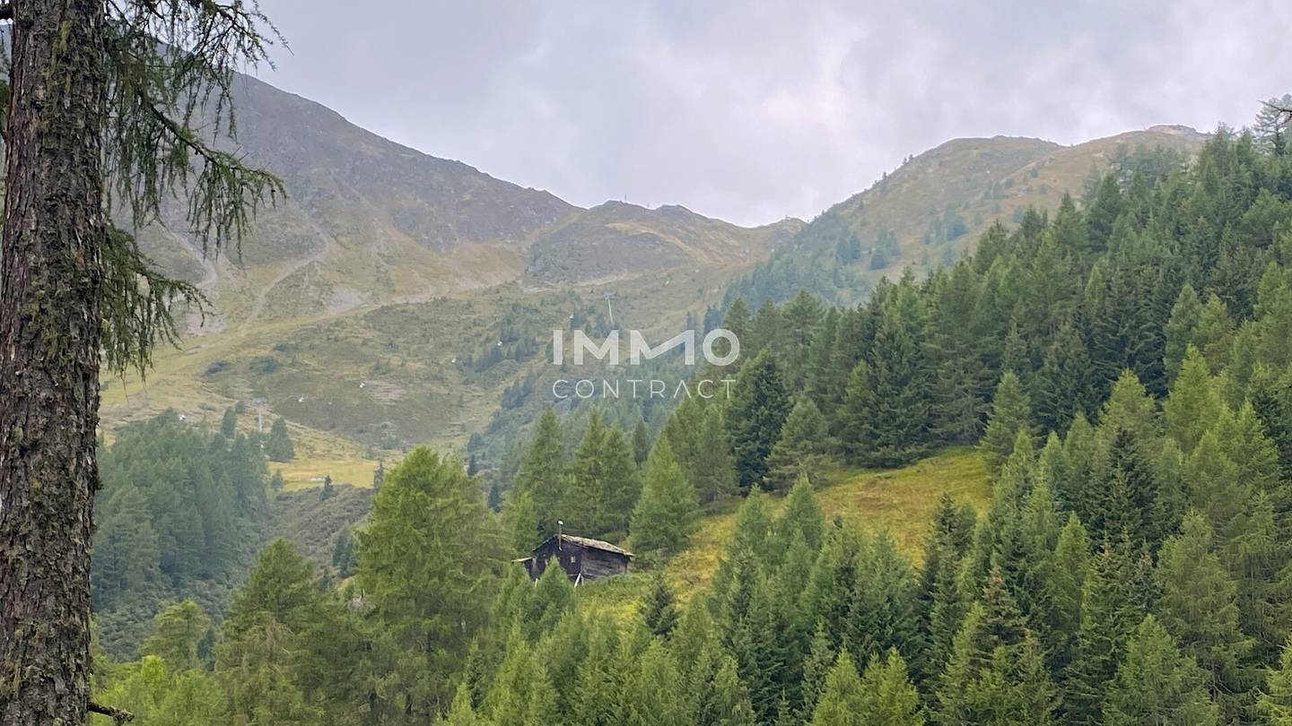 Waldparzellen am Fuße des Großglockners