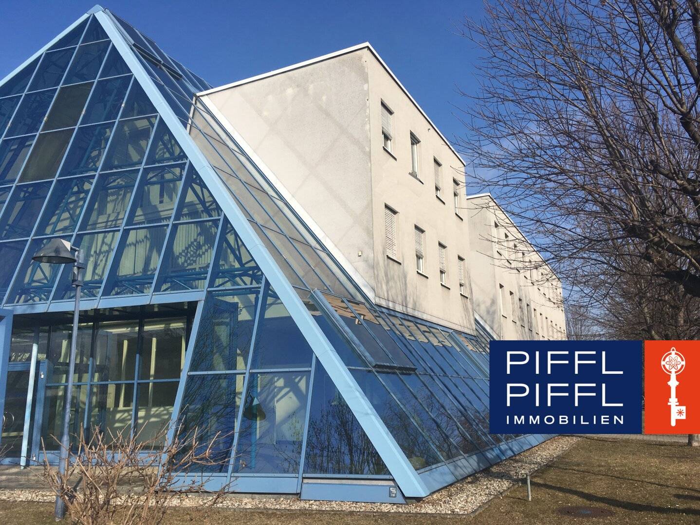 Budget-friendly office