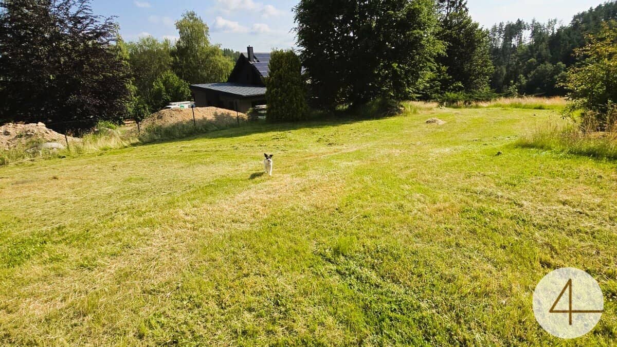 Einfamilienhaus in Schönbach: sonnig, gepflegt, großzügiges Grundstück
