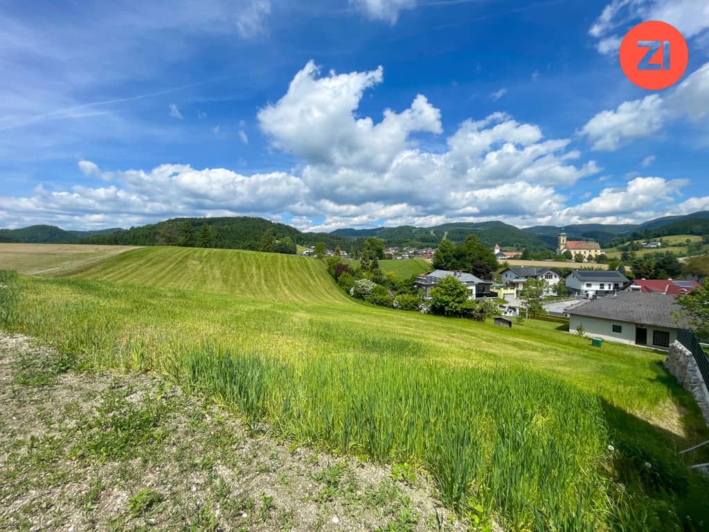 Traumhaftes Baugrundstück in Waldhausen im Strudengau – Hanglage