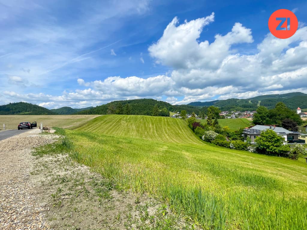 Grundstück mit Potenzial in Waldhausen im Strudengau - Hanglage, Blick