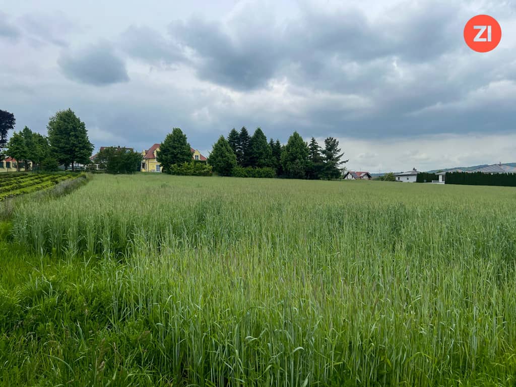 Baugrundstück in zentraler Paschinger Aussichtslage – ca. 696 m²