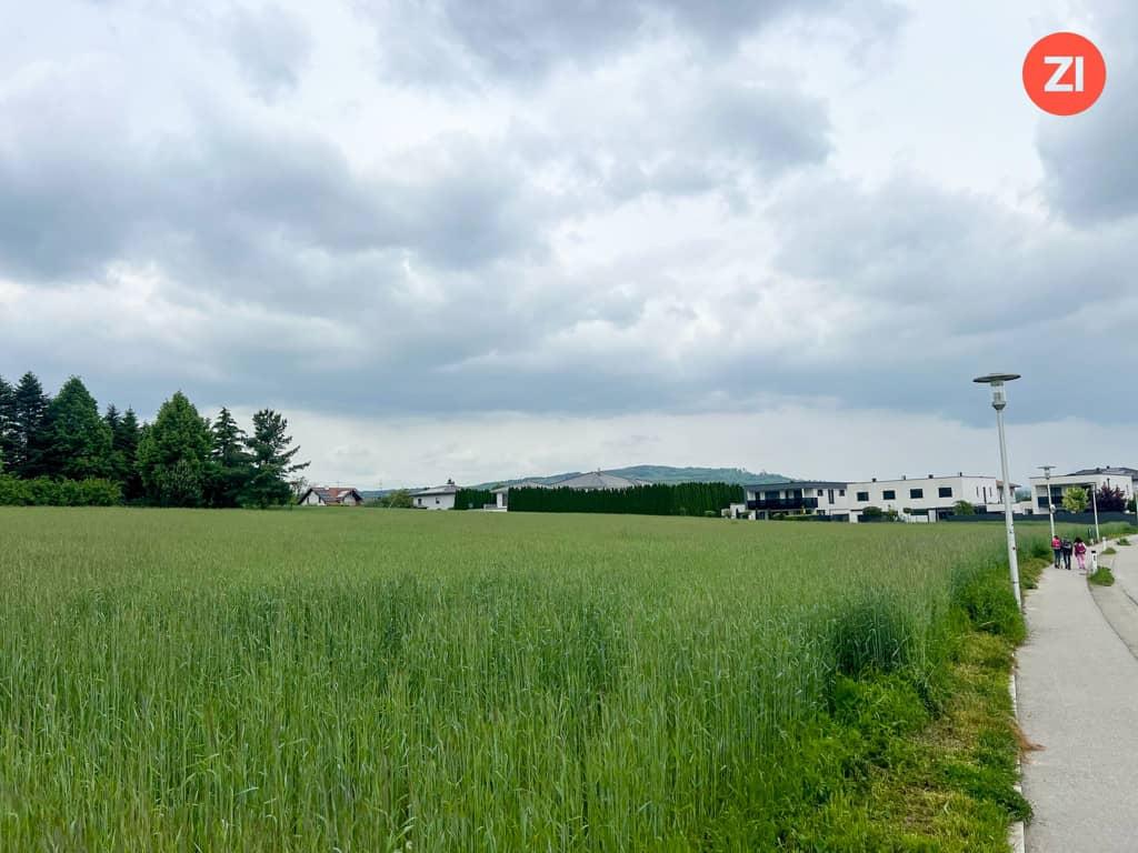 Baugrundstück in zentraler Paschinger Aussichtslage – ca. 696 m²