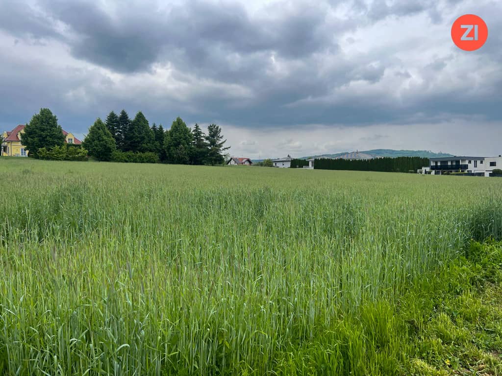 Traumhaftes Baugrundstück in zentraler Paschinger Aussichtslage